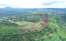 Gia Lai: San ủi trái phép ở khu vực núi Chư A