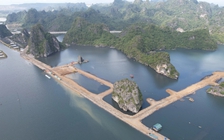 Quảng Ninh: Dự án 10B phường Quang Hanh tái khởi động sau 2 năm