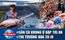 Toàn cảnh 17h: Xem cảnh săn cá khủng ở Thủy điện trị An | Thị trường hoa 20.10 đìu hiu do bão lũ
