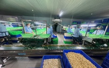 Những quy định tréo ngoe chờ tháo gỡ