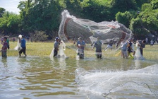 Đổ xô đi bắt cá ở chân đập tràn thủy điện lớn nhất miền Nam