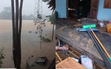 'Trôi hết rồi còn đâu!': người dân Thanh Hóa, Tuyên Quang bất lực sau mưa lũ