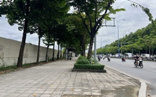 Chưa thể dùng vỉa hè 'đang rảnh' làm làn riêng cho xe đạp, vì sao?