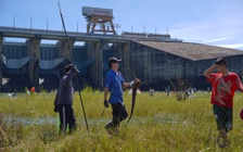 Thủy điện Trị An phát đi thông báo lại xả lũ chỉ sau 1 ngày đóng đập