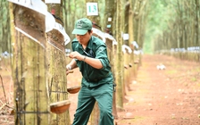 VRG vượt kế hoạch lợi nhuận năm 2025 trong 9 tháng