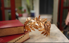 Vòng nguyệt quế chung kết năm Đường lên đỉnh Olympia 2025 có gì đặc biệt?