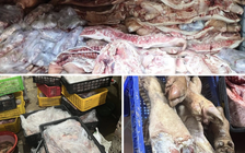Bắt chủ lò mổ trữ đông 38 tấn thịt heo nhiễm bệnh để tuồn ra thị trường