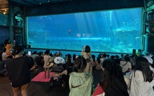 Khách Đông Âu ngày càng thích Việt Nam, đặc biệt Phú Quốc