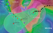 Tâm bão số 12 hướng vào Đà Nẵng, mưa lớn từ Hà Tĩnh đến Quảng Ngãi