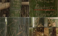 Rừng tre nổi tiếng Nhật Bản bị khắc chữ chi chít, có cả tiếng Việt