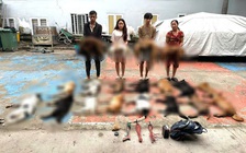 Công an TP.HCM triệt phá nhóm trộm và tiêu thụ chó