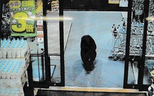 Gấu tấn công chết người tại Nhật Bản cao kỷ lục