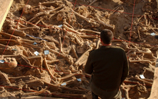 Hé lộ dịch bệnh đã tàn phá quân đội của Hoàng đế Napoleon