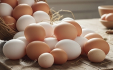 Ăn trứng: Rốt cuộc nên ăn hay bỏ lòng đỏ mới tốt?