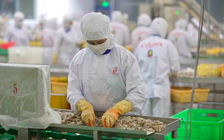 Việt Nam - Mỹ thống nhất công bố tuyên bố chung về thuế đối ứng