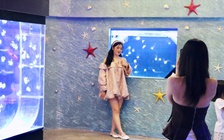 Độc đáo những quán cà phê như thủy cung thu nhỏ giữa lòng thành phố