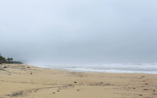 Chìm tàu hàng chở gần 6.000 tấn xi măng ngoài khơi TP.Huế