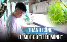 ‘Liều mình’ bỏ nghề cũ, chàng trai có thu nhập cao từ hồ thủy sinh