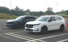 Động cơ hybrid có khiến công nghệ tăng áp trên ô tô lụi tàn?