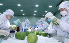 Bước tiến mới trong thuế đối ứng Mỹ - Việt