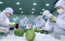 Tin tức đặc biệt trên báo in Thanh Niên 28.10.2025