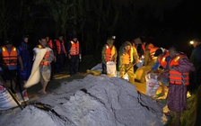 Vỡ đê trên sông Ly Ly ở Đà Nẵng