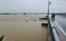 Đà Nẵng khẩn cấp bảo vệ cầu Câu Lâu