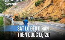 Sạt lở đèo D'Ran trên quốc lộ 20: Ngổn ngang đất đá, cây cối
