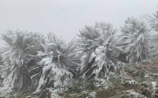 Đợt không khí lạnh mới lại về, gây mưa, rét nhiều nơi