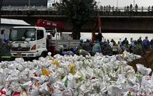 Dùng bao cát bịt miệng cống, ngăn nước lũ tràn vào trung tâm TP.Quảng Ngãi cũ