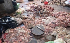 Rùng mình cảnh chế biến mỡ heo dưới nền nhà