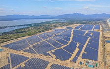 Nhà đầu tư bán tháo cổ phiếu Bamboo Capital và Tracodi khi bị đình chỉ giao dịch