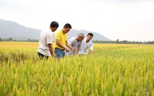 Việt Nam tăng tốc xuất khẩu sang Campuchia