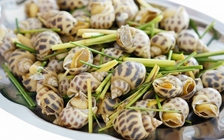 Ốc hương: Giá trị dinh dưỡng và lợi ích sức khỏe