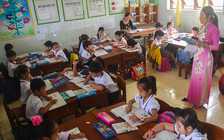 Cà Mau tuyển dụng gần 1.400 viên chức sự nghiệp giáo dục