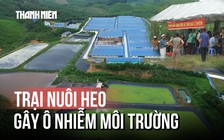 Thanh Hóa: Người dân dựng rạp phản đối trại heo gây ô nhiễm