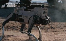 Trung Quốc mô phỏng dùng chó robot đổ bộ Đài Loan, kết quả ra sao?
