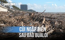 Rác, củi ngập tràn bờ biển Thanh Hóa sau bão số 10