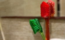 Alo bác sĩ nghe: Không thay bàn chải đánh răng thường xuyên hại sức khỏe thế nào?