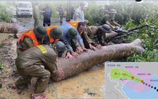 Tin tức đặc biệt trên báo in Thanh Niên 6.10.2025