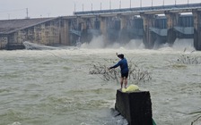 Cá 'ngửi' mùi nước khi thủy điện Trị An xả lũ, nhiều người mạo hiểm đi bắt