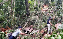 Liên tiếp động đất ở Quảng Ngãi: Vùng cao Đà Nẵng dư chấn 'như muốn sập nhà'