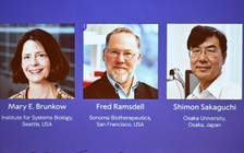 Nobel Y sinh vinh danh phát hiện dung nạp miễn dịch ngoại biên