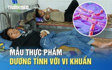 Mẫu thực phẩm vụ 'nghi ngăn học sinh ngộ độc đi cấp cứu' dương tính với vi khuẩn