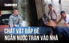 Hà Nội ngập lụt sau bão Matmo: Mướt mồ hôi đắp đê ngăn nước tràn vào nhà