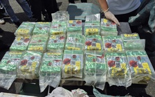 Thủ tướng khen biên phòng, công an triệt phá đường dây mua bán 777 kg ma túy