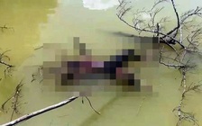 Đà Nẵng: Phát hiện thi thể đang phân hủy trên lòng hồ thủy điện Sông Bung 5