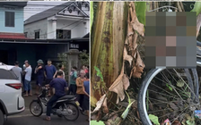 Sát hại vợ và con riêng rồi nhảy sông Hồng tự tử