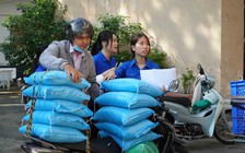 Sinh viên quyên góp hàng chục tấn hàng tiếp sức vùng bão, lũ