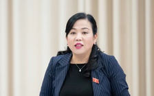 'Các nhà đầu tư FDI thường đưa vào công nghệ vừa phải, thậm chí lạc hậu'